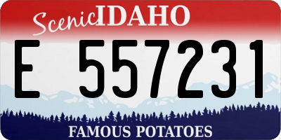 ID license plate E557231