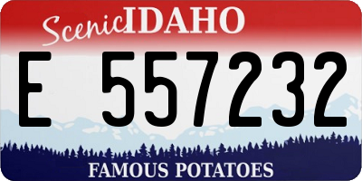 ID license plate E557232