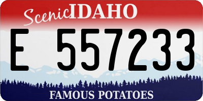ID license plate E557233