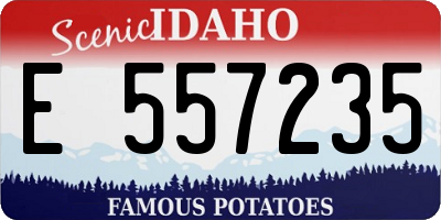 ID license plate E557235
