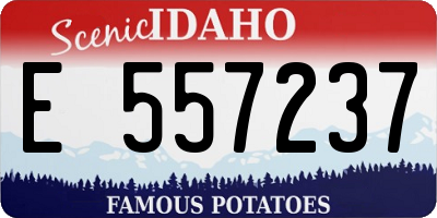 ID license plate E557237