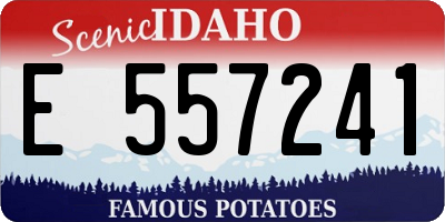 ID license plate E557241