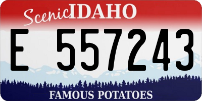 ID license plate E557243