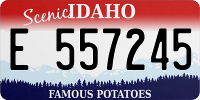 ID license plate E557245