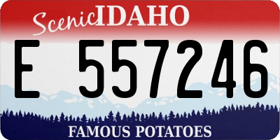 ID license plate E557246