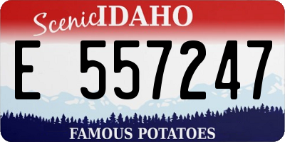 ID license plate E557247