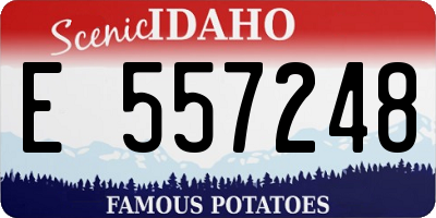 ID license plate E557248