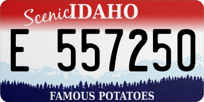 ID license plate E557250