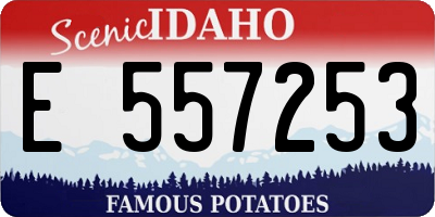 ID license plate E557253