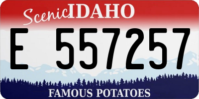 ID license plate E557257