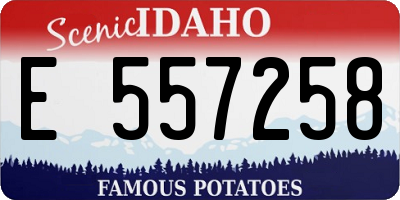 ID license plate E557258