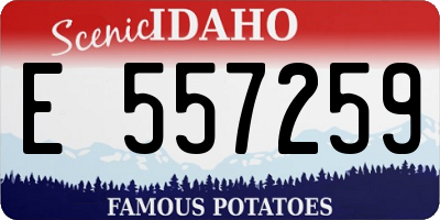ID license plate E557259
