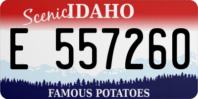 ID license plate E557260