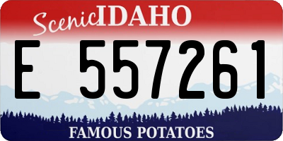 ID license plate E557261