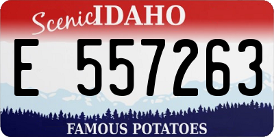 ID license plate E557263