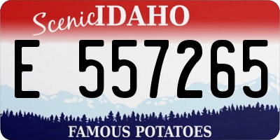 ID license plate E557265
