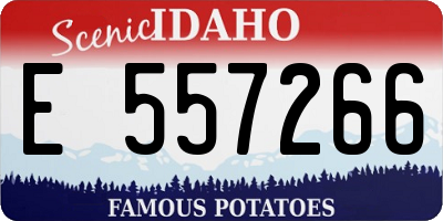ID license plate E557266
