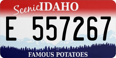 ID license plate E557267