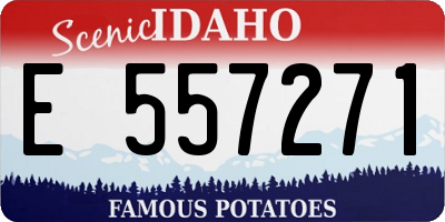 ID license plate E557271