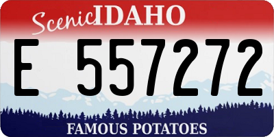 ID license plate E557272