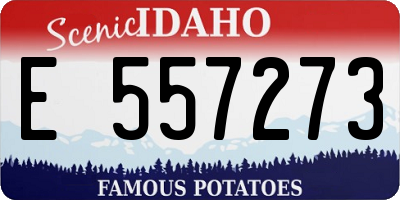 ID license plate E557273