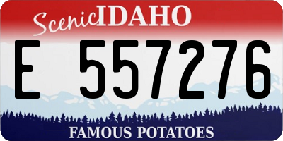 ID license plate E557276