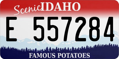 ID license plate E557284
