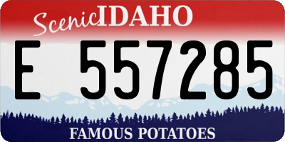ID license plate E557285