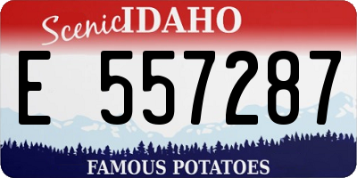ID license plate E557287