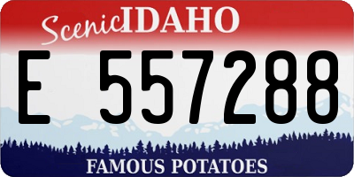 ID license plate E557288