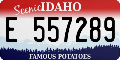 ID license plate E557289