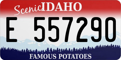 ID license plate E557290