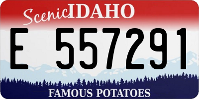 ID license plate E557291