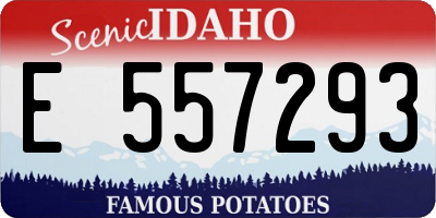 ID license plate E557293