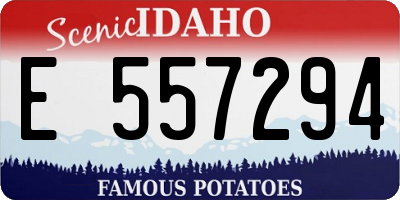 ID license plate E557294