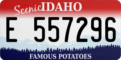ID license plate E557296