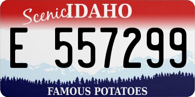 ID license plate E557299