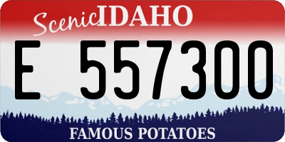 ID license plate E557300