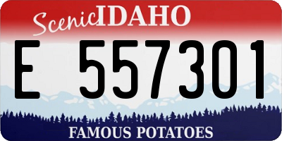ID license plate E557301