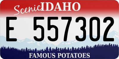 ID license plate E557302