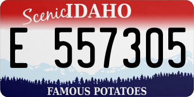 ID license plate E557305