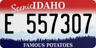 ID license plate E557307