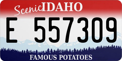ID license plate E557309