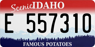 ID license plate E557310