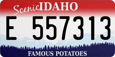 ID license plate E557313