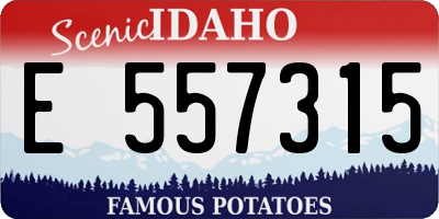 ID license plate E557315