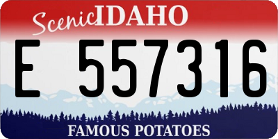 ID license plate E557316