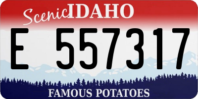 ID license plate E557317