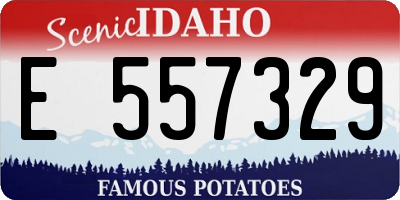 ID license plate E557329