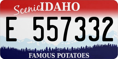 ID license plate E557332
